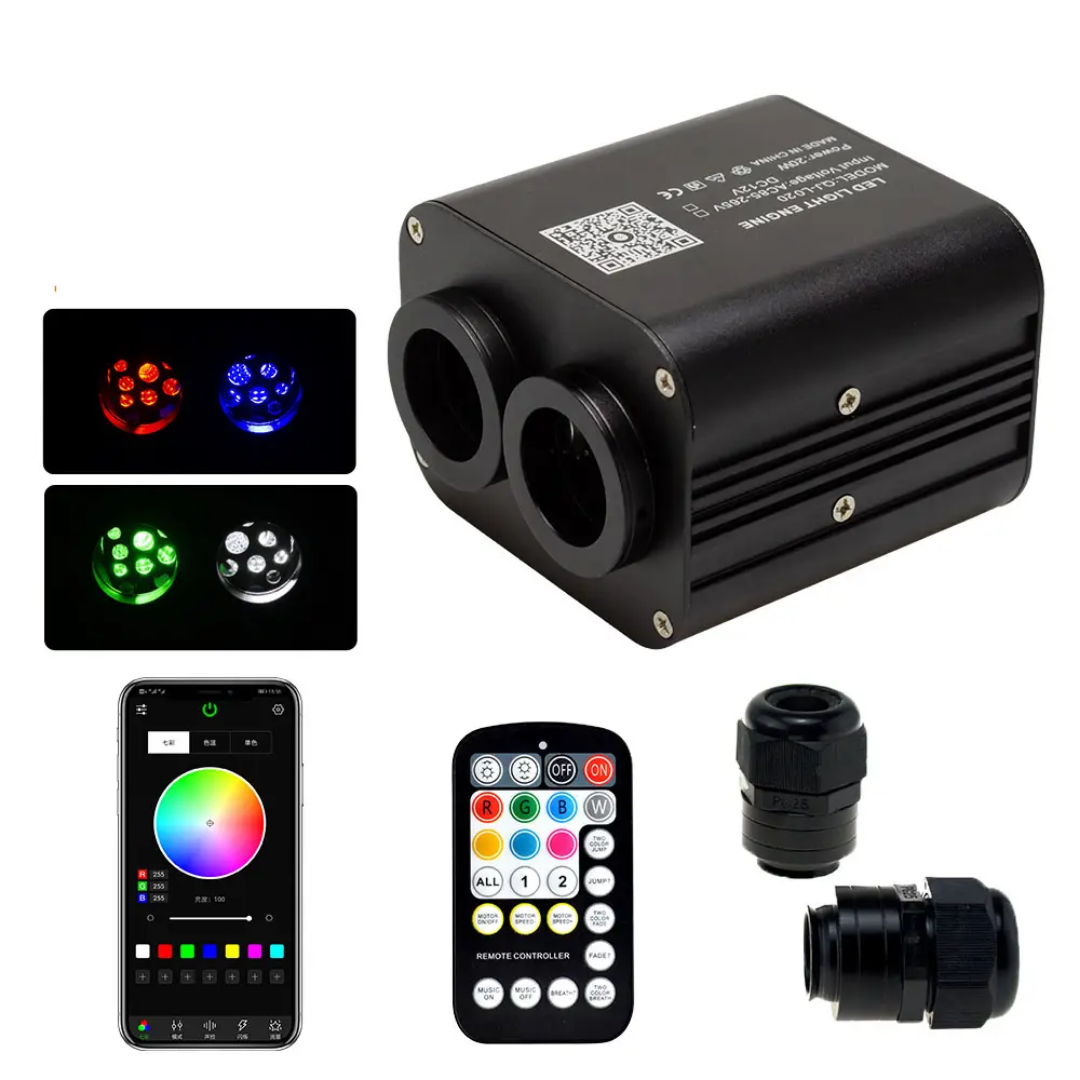 20W DUAL ZONE STARLIGHT HEADLINER KIT