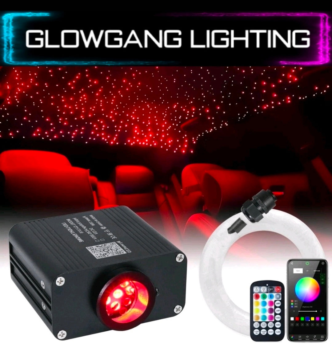 16W TWINKLE EFFECT STARLIGHT KIT